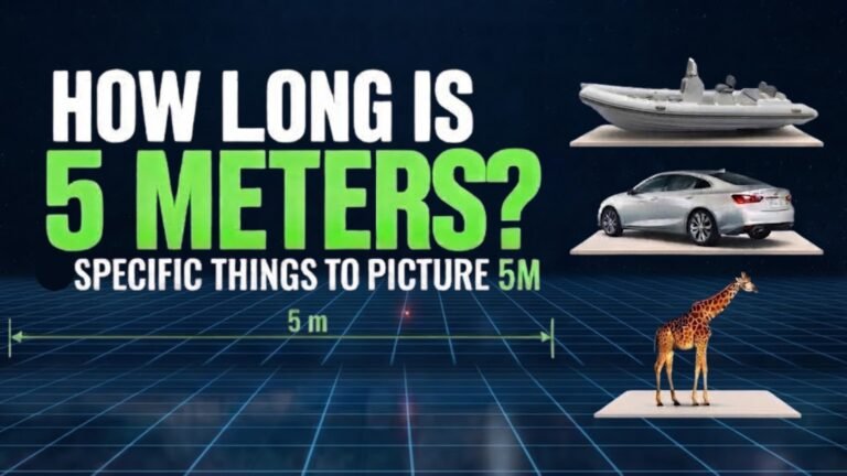 how long is 5 meters