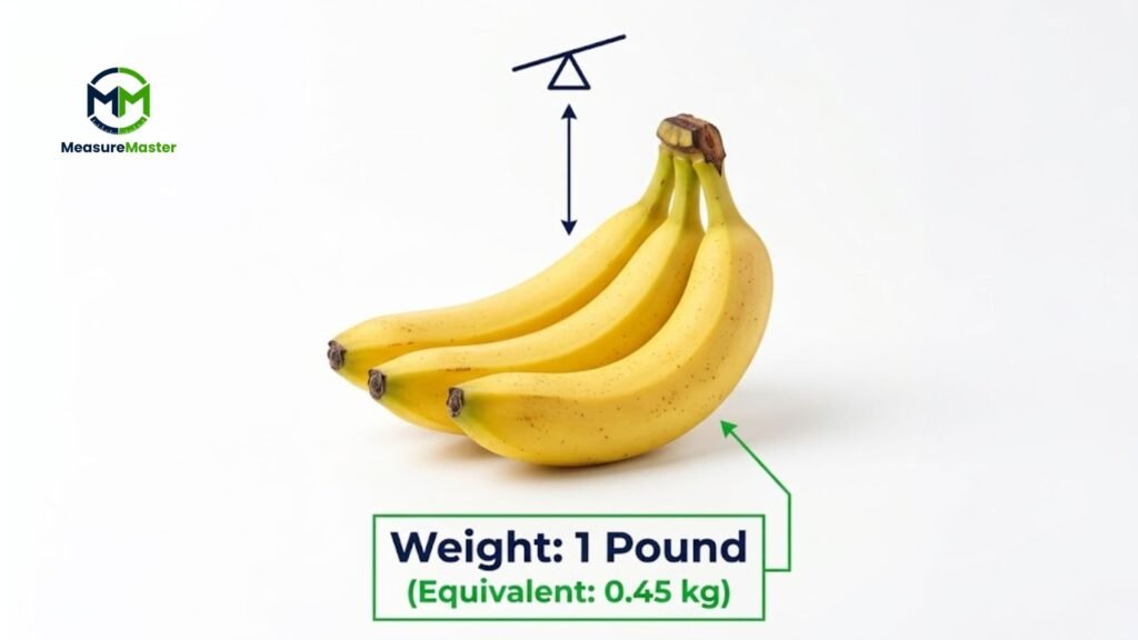 small things that weigh 1 pound